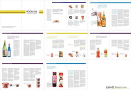 常州企業品牌升級之道 產品說明書、平面廣告與企業形象策劃的全面協同